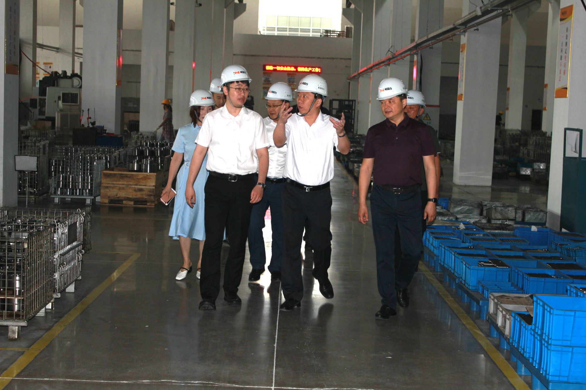 宜兴市薛皓月副市长一行来我司调研指导